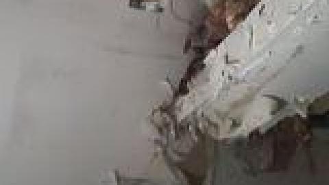 Atlas Auto Collision July 2021 - 219987656_337417391415399_7354672176064434229_n.jpg