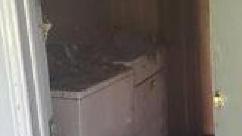 Atlas Auto Collision July 2021 - 220558122_188400309980560_2667409231229526540_n.jpg