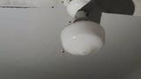 Atlas Auto Collision July 2021 - 224024094_853170532270954_7697116065457418684_n.jpg