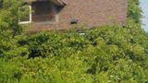 Atlas Auto Collision July 2021 - 226290808_2743159942647957_431357252312320303_n.jpg