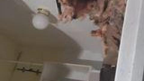 Atlas Auto Collision July 2021 - 226491752_265606845327003_4143744356289896330_n.jpg