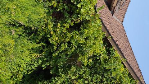 Atlas Auto Collision July 2021 - Snapchat-636742076.jpg