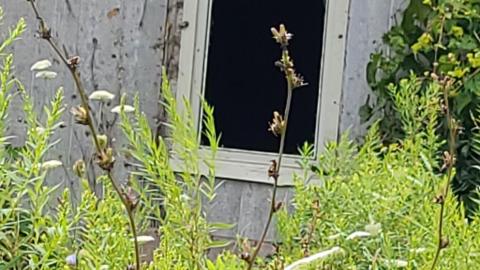 Atlas Auto Collision July 2021 - Snapchat-781282392.jpg