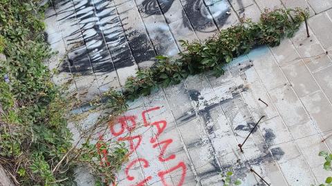 Atlas Auto Collision July 2021 - Snapchat-994056861.jpg