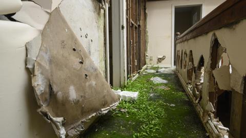 Moist Mansion - _DSC2187.jpg