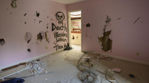 Moist Mansion - _DSC2189.jpg