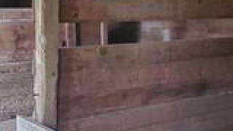 Abandoned Horse Barn July 2021 - 217629693_572125370615694_1636701622760567325_n.jpg