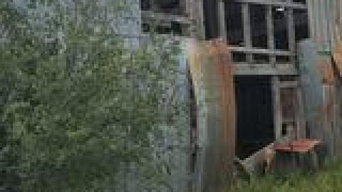 Abandoned Horse Barn July 2021 - 218210650_4297182127011320_5340082309574441713_n.jpg