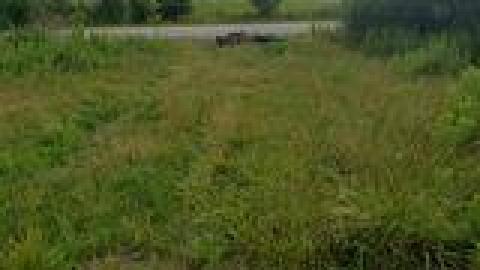 Abandoned Horse Barn July 2021 - 218389380_544580836586481_7255775738816908043_n.jpg