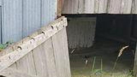 Abandoned Horse Barn July 2021 - 218435629_391996909027619_6781597448610613235_n.jpg