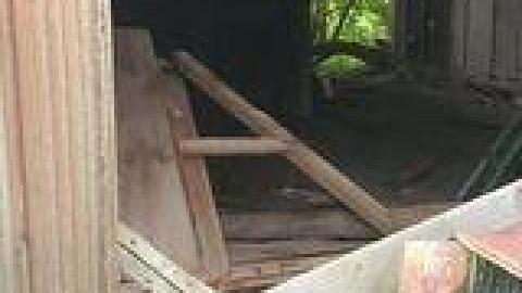 Abandoned Horse Barn July 2021 - 219428518_232573545270393_7161157961630271708_n.jpg