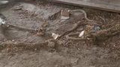 Abandoned Horse Barn July 2021 - 220488948_2149011001908339_120977363392670379_n.jpg