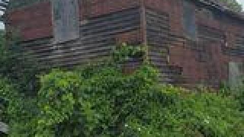 Lewis Shack July 2021 - 218928279_1092866581241571_7236140880159627308_n.jpg