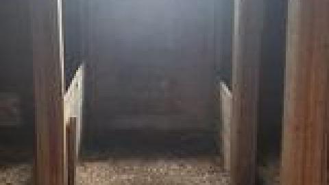 Abandoned Horse Barn July 2021 - 221715062_238797068100800_5949912193498155242_n.jpg