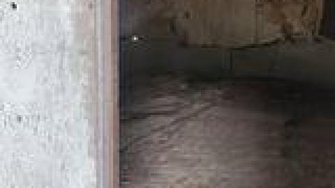 Abandoned Horse Barn July 2021 - 221748356_152376150353492_8728397778095720259_n.jpg