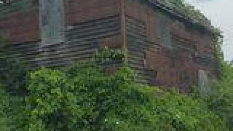 Lewis Shack July 2021 - 219727551_1475797896110781_5627180427550675642_n.jpg