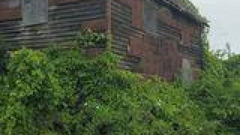 Lewis Shack July 2021 - 221772896_950563462173696_7579020243162870203_n.jpg