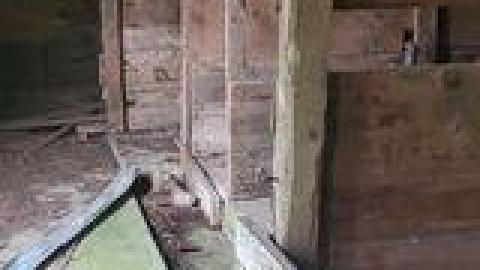 Abandoned Horse Barn July 2021 - 222877869_791746658044823_3570362890680506782_n.jpg