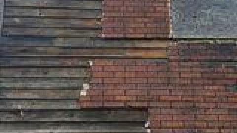 Photo from Lewis Shack July 2021