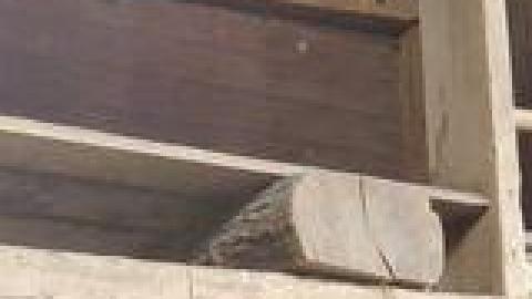 Abandoned Horse Barn July 2021 - 223498471_246550473971232_7745612890211868183_n.jpg