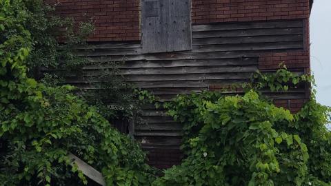 Lewis Shack July 2021 - Snapchat-187373715.jpg