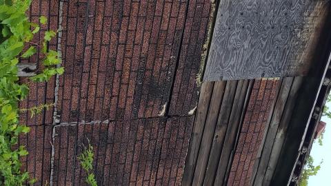 Lewis Shack July 2021 - Snapchat-824223361.jpg