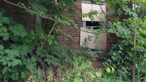 Photo from Lewis Shack July 2021