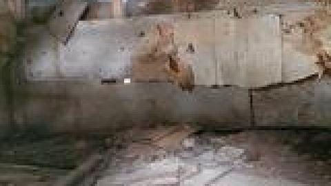 Photo from Abandoned Horse Barn July 2021