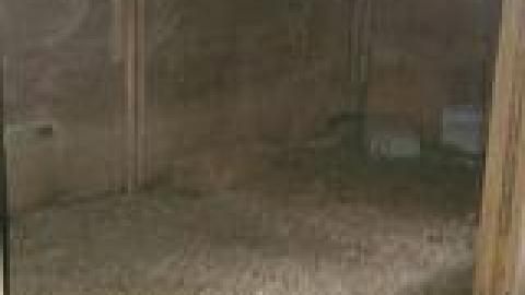 Abandoned Horse Barn July 2021 - 226291807_2991282967751682_6383033124633676171_n.jpg