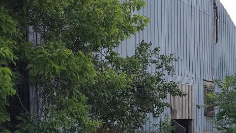 Abandoned Horse Barn July 2021 - Snapchat-651833684.jpg