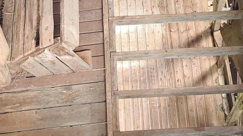 Abandoned Horse Barn July 2021 - Snapchat-731313378.jpg