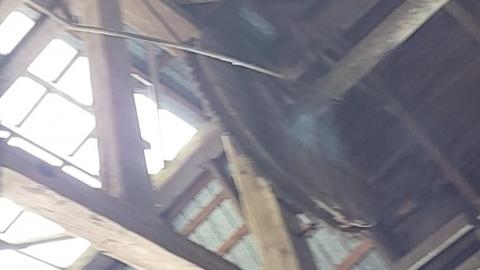 Abandoned Horse Barn July 2021 - Snapchat-1489945798.jpg