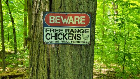 River and Ruin May 2021 - 20210524_150615.jpg