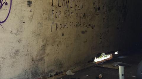 Photo from Abandoned Truck Trailer May 2021