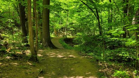 River and Ruin May 2021 - 20210524_150716.jpg