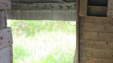 Abandoned Horse Barn July 2021 - Snapchat-1938020226.jpg