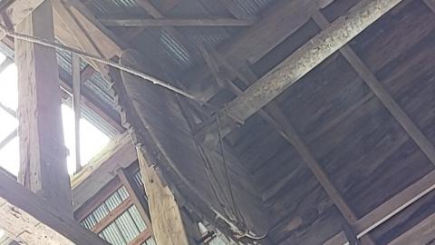 Abandoned Horse Barn July 2021 - Snapchat-2011421188.jpg