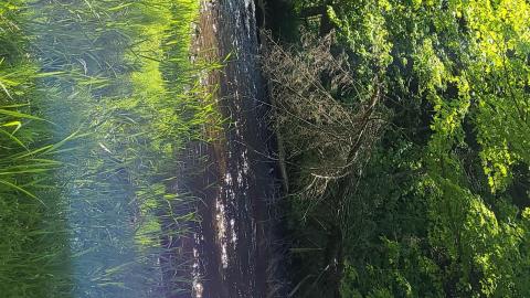 Photo from River and Ruin May 2021