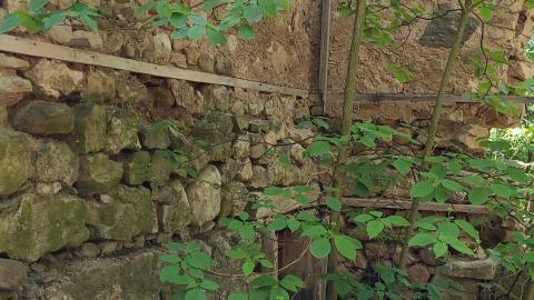 River and Ruin May 2021 - Snapchat-398577713.jpg