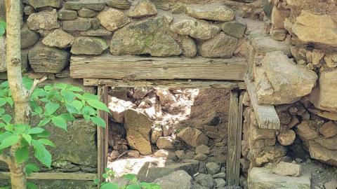 Photo from River and Ruin May 2021