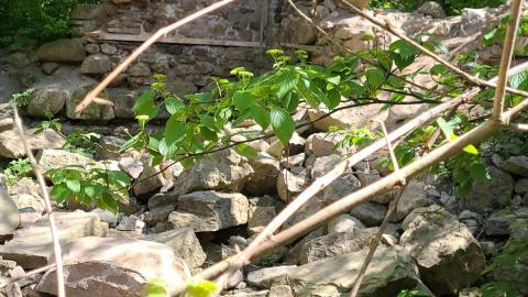 River and Ruin May 2021 - Snapchat-409806433.jpg