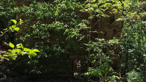 River and Ruin May 2021 - Snapchat-1452556991.jpg