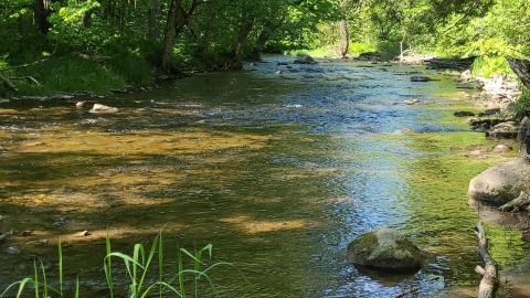 River and Ruin May 2021 - Snapchat-1481614724.jpg