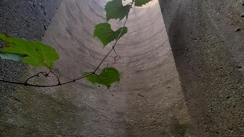 Take me for Granite - 20210804_174119.jpg