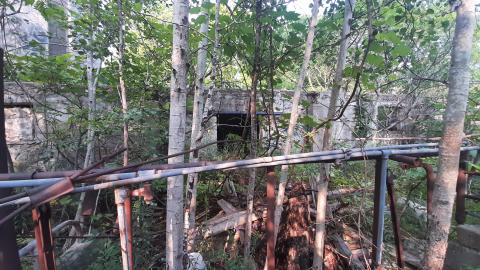 Take me for Granite - 20210804_174030.jpg