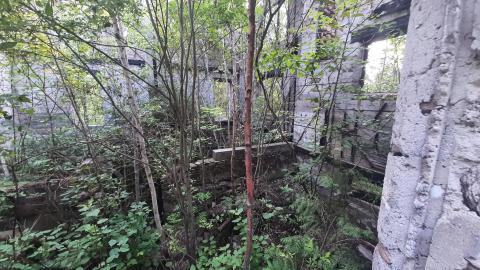 Take me for Granite - 20210804_173705.jpg