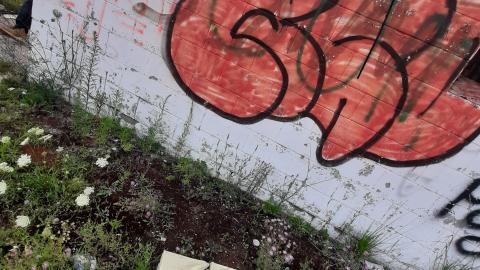 Elmvale Drive In1 - 20210804_193927.jpg