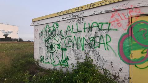 Elmvale Drive In1 - 20210804_193857.jpg