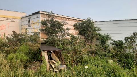 Photo from Elmvale Drive In1