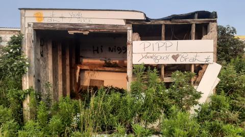 Elmvale Drive In1 - 20210804_193812.jpg